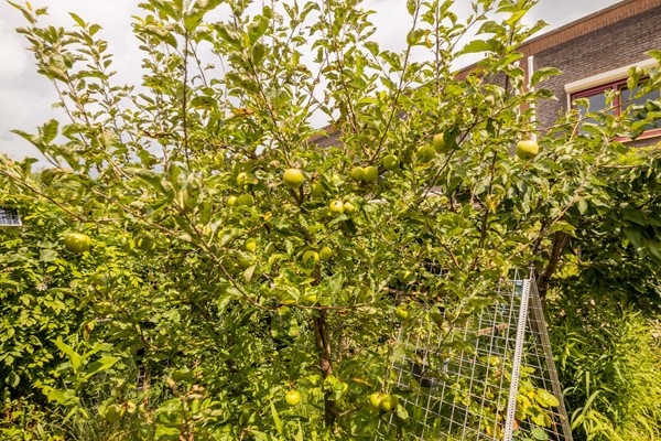 Medium property photo - Vrouwenmantel 81, 2871 NS Schoonhoven